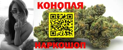 прущие крисы Кулебаки