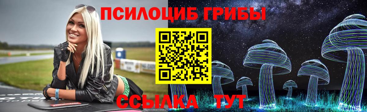 Галлюциногенные грибы мицелий  Галлюциногенные грибы прущие грибы  Вход с VPN  Кингисепп 